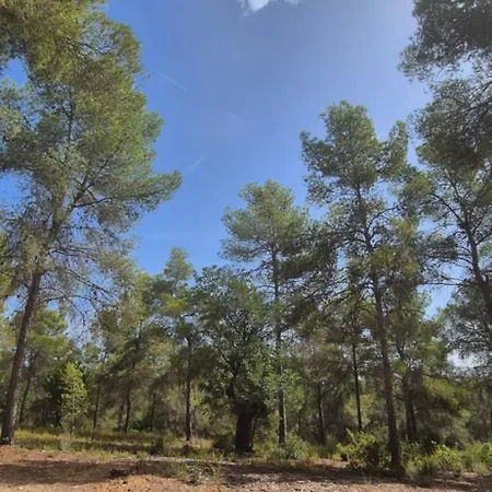 Casa vacanze Del Bosque Chiva